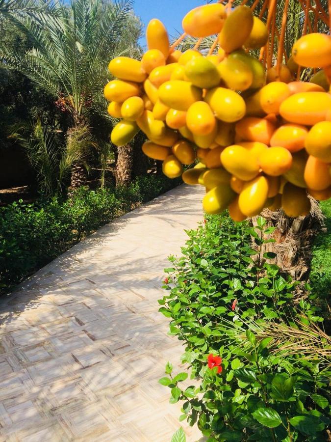 Riad Le Jasmin Тарудант Экстерьер фото