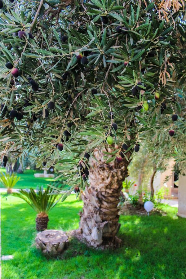 Riad Le Jasmin Тарудант Экстерьер фото
