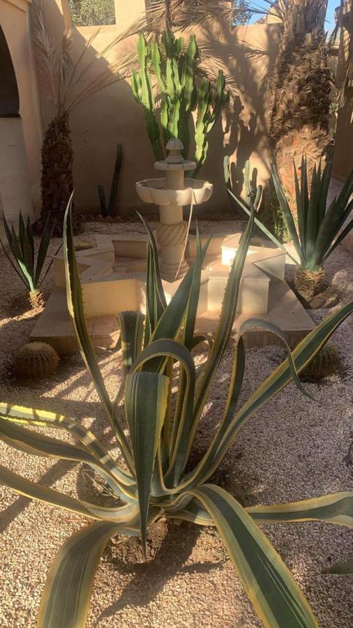 Riad Le Jasmin Тарудант Экстерьер фото