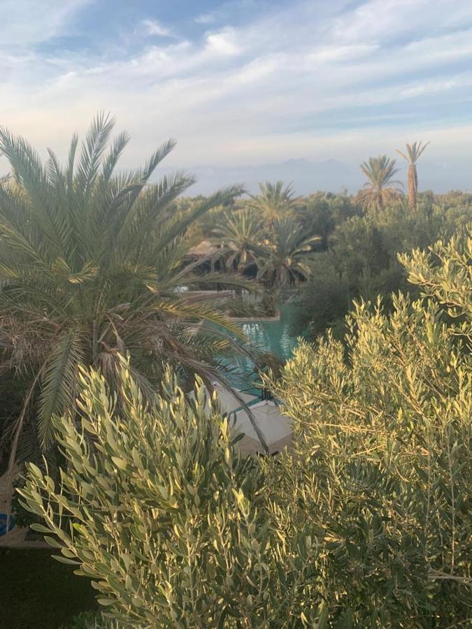 Riad Le Jasmin Тарудант Экстерьер фото