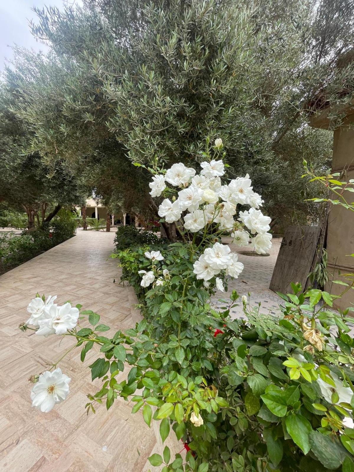 Riad Le Jasmin Тарудант Экстерьер фото