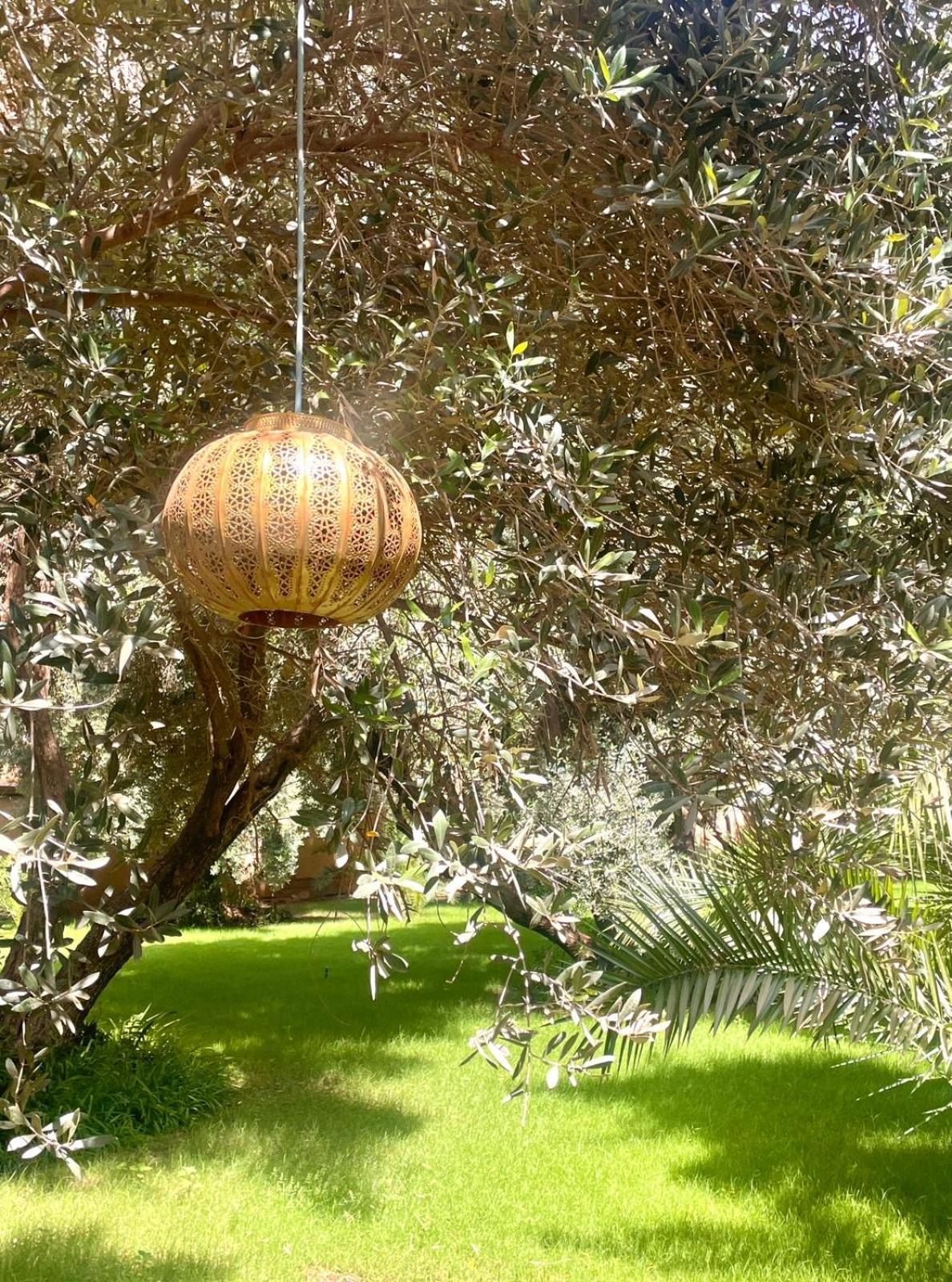 Riad Le Jasmin Тарудант Экстерьер фото