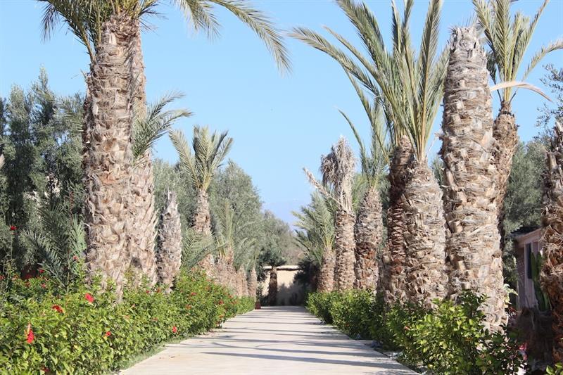 Riad Le Jasmin Тарудант Экстерьер фото